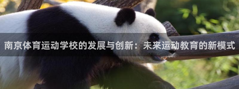 一竞技官网下载软件：南京体育运动学校的发展与创新：未