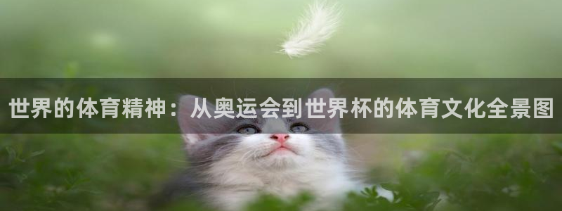 一竞技官方正版app娱乐