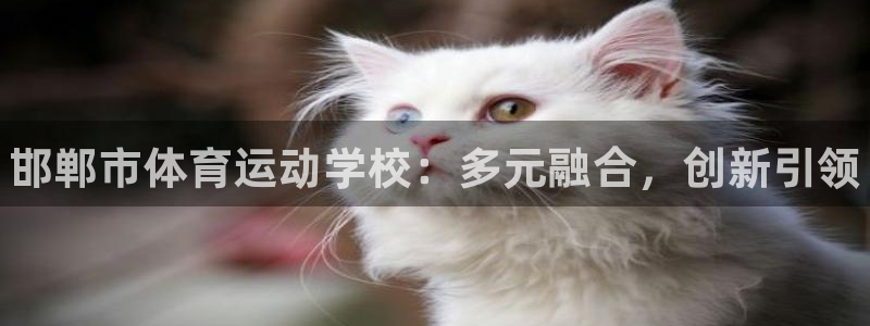 一竞技官网下载平台APP：邯郸市体育运动学校：多元融