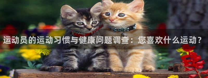 德国一竞技官方正版app集团：运动员的运动习惯与健康