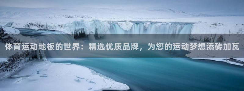 一竞技官方正版app集团：体育运动地板的世界：精选优