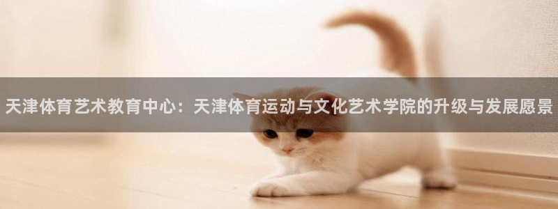 一竞技官方正版app娱乐下载：天津体育艺术教育中心：