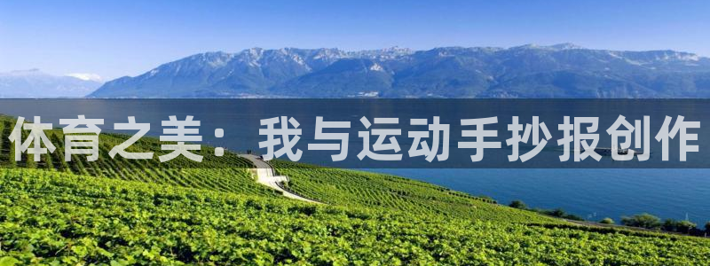 注册一竞技官方正版app：体育之美：我与运动手抄报创