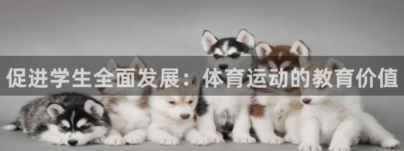 一竞技官网下载平台假的吗是真的吗：促进学生全面发展：体育运动
