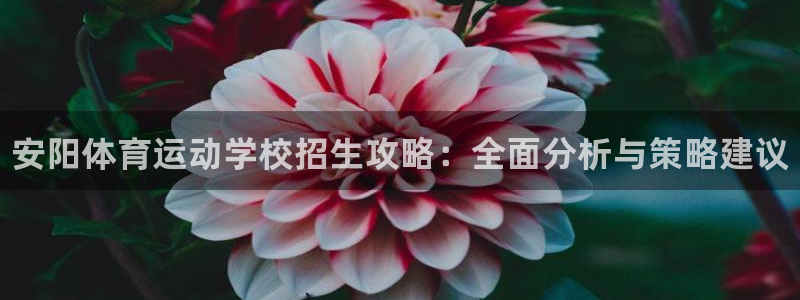 一竞技官方平台体育：安阳体育运动学校招生攻略：全面分析与策略