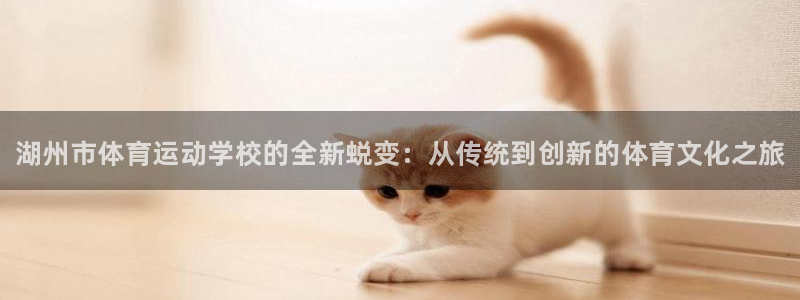 一竞技官网下载联系电话：湖州市体育运动学校的全新蜕变：从传统