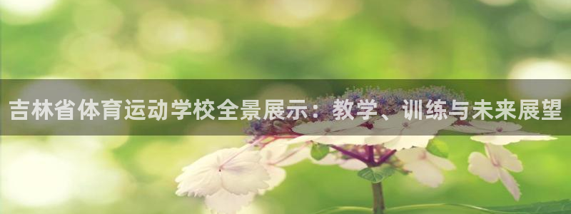 一竞技官方正版app五金厂：吉林省体育运动学校全景展示：教学