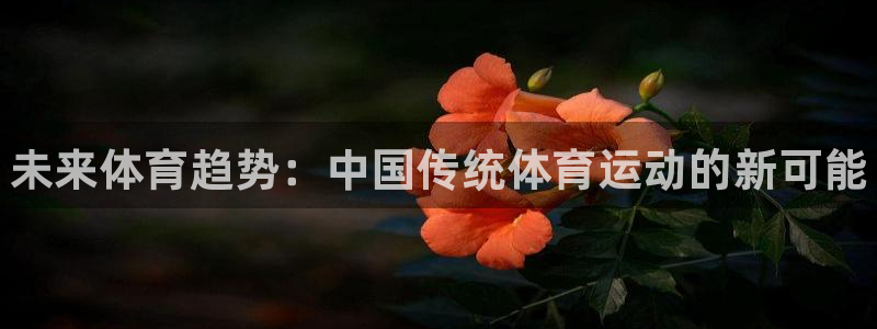 一竞技官网下载
