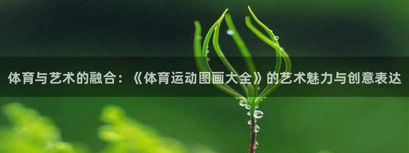 一竞技官网下载：体育与艺术的融合：《体育运动图画大全