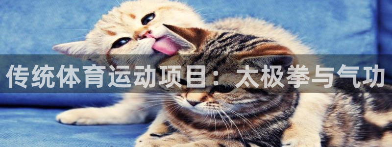 一竞技官网下载招商电话号码：传统体育运动项目：太极拳