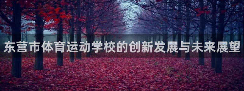 一竞技官网下载平台APP：东营市体育运动学校的创新发
