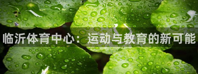 一竞技官方正版app集团官网网址：临沂体育中心：运动