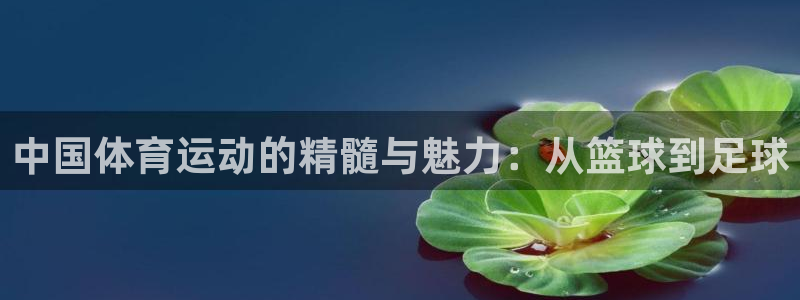 一竞技官网下载平台注册：中国体育运动的精髓与魅力：从