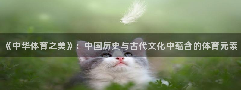 一竞技官方正版app娱乐平台：《中华体育之美》：中国