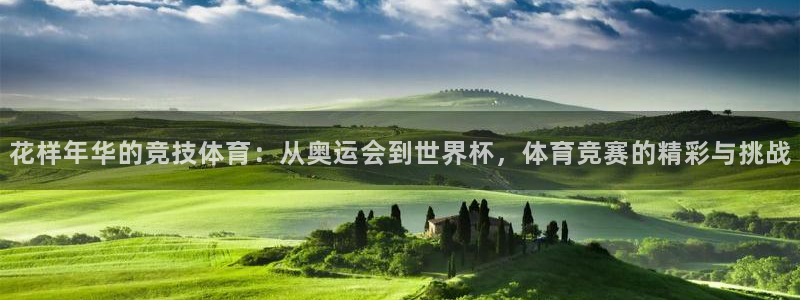 一竞技官方正版app神州：花样年华的竞技体育：从奥运