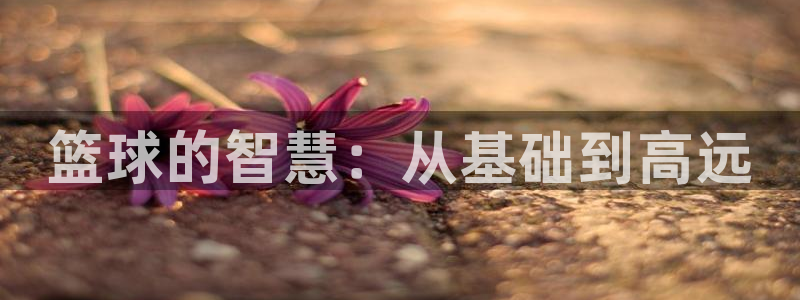 一竞技官网下载官方客服电话：篮球的智慧：从基础到高远