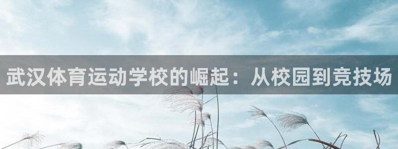 一竞技官方正版app新能源：武汉体育运动学校的崛起：从校园到