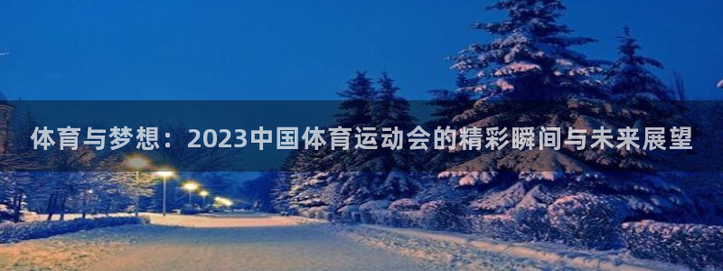 一竞技官方正版app集团官网网址：体育与梦想：202