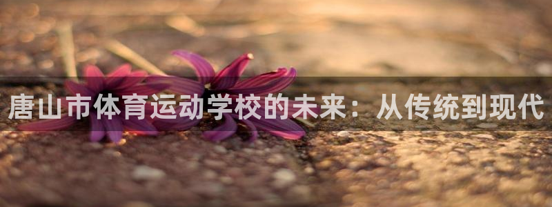 一竞技官网下载软件：唐山市体育运动学校的未来：从传统到现代