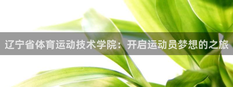 一竞技官方正版app官网：辽宁省体育运动技术学院：开