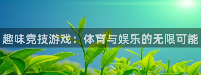 一竞技官网下载平台注册流程图：趣味竞技游戏：体育与娱乐的无限