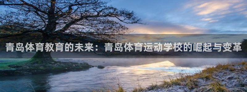 海南一竞技官网下载：青岛体育教育的未来：青岛体育运动学校的崛
