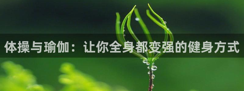 一竞技官方正版app新能源：体操与瑜伽：让你全身都变强的健身