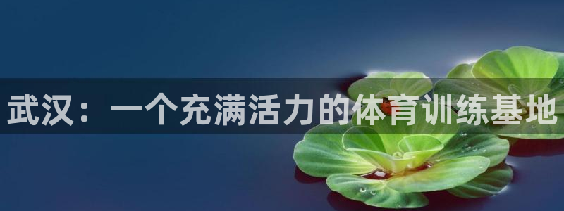 一竞技官网下载招商电话地址是多少：武汉：一个充满活力的体育训