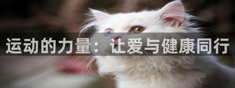 注册一竞技官方正版app