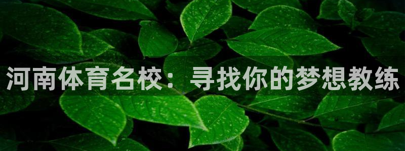 一竞技官网下载平台注册流程图：河南体育名校：寻找你的梦想教练