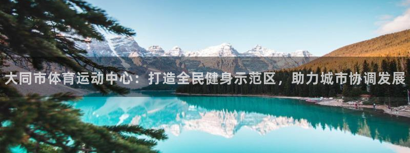 一竞技官网注册流程：大同市体育运动中