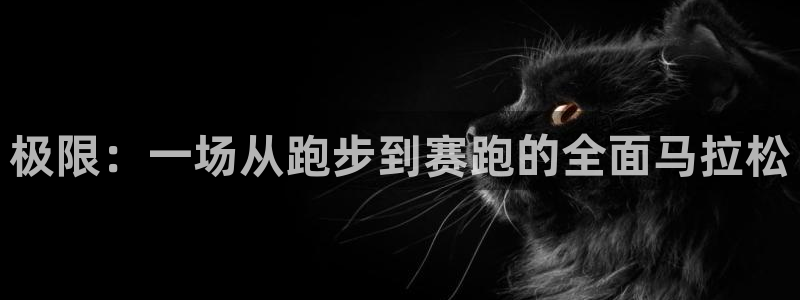  一竞技测速网站：极限：一场从跑步到赛跑的全面马拉松