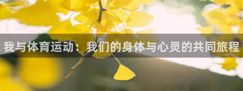 一竞技测速站：我与体育运动：我们的身