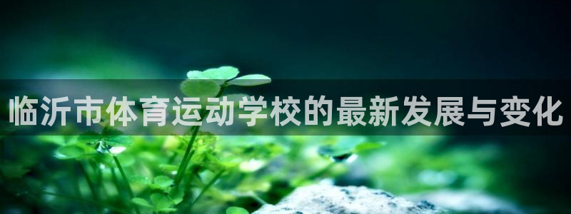 一竞技one卡安不安全：临沂市体育运