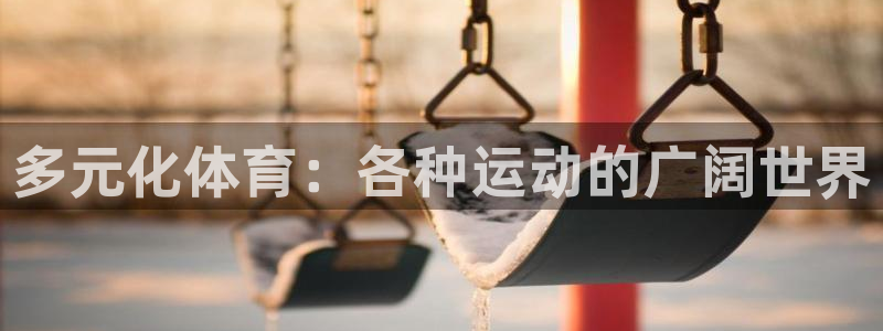 一竞技APP官方下载：多元化体育：各种运动的广阔世界