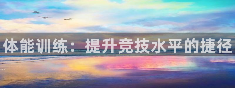 一竞技平台测速：体能训练：提升竞技水平的捷径
