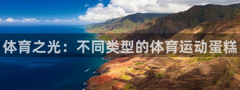  一竞技是什么平台：体育之光：不同类型的体育运动蛋糕