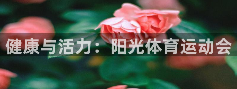 一竞技平台登录入口：健康与活力：阳光体育运动会