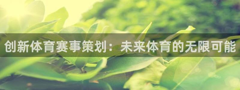 一竞技官方网站入口：创新体育赛事策划：未来体育的无限可能