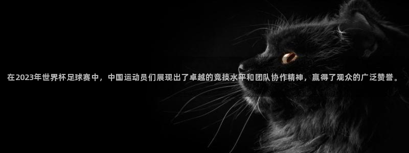 一竞技app下载：在2023年世界杯